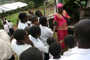 Judith Mugoli, animatrice du Centre Olame distribue les plantules aux élèves